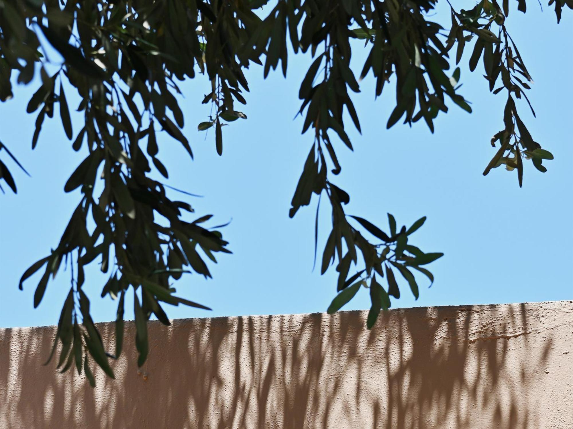 Cape Sounio, A Grecotel Resort To Live Sounion Bagian luar foto